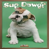 Кийт Кимбърлин - Стенски плакат на Sup Dawg, 14.725 22.375